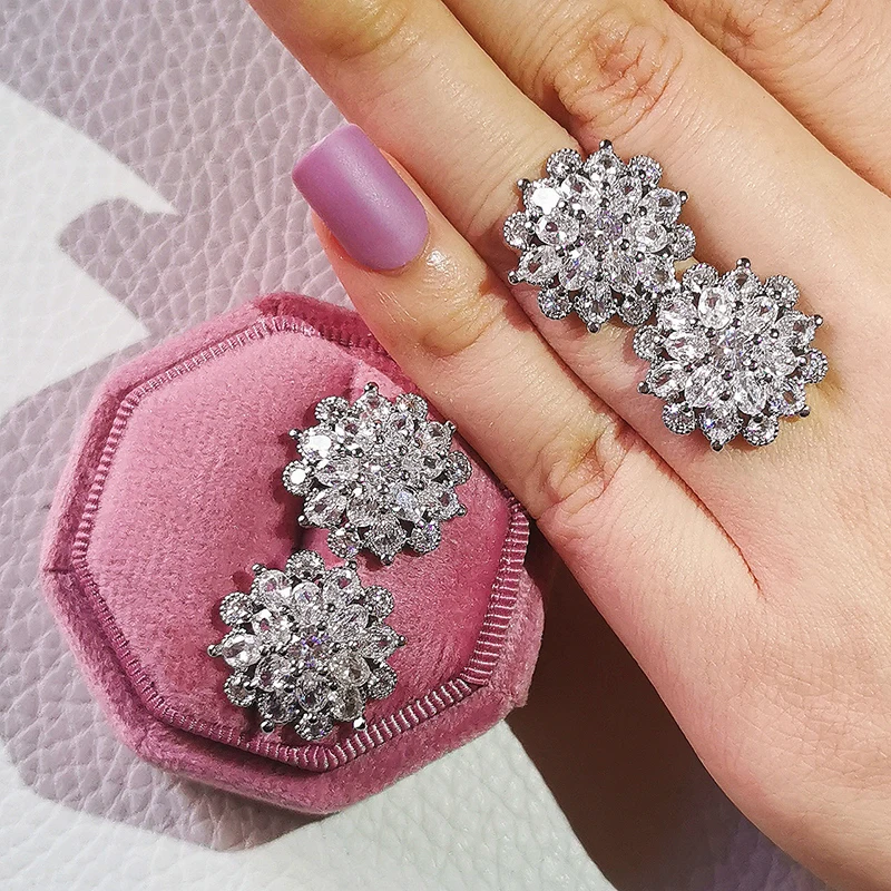 Luxury 925 Sterling Silver Earrings for Women