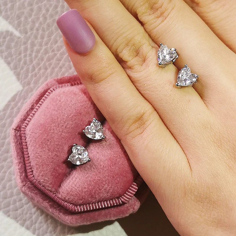 Luxury 925 Sterling Silver Earrings for Women