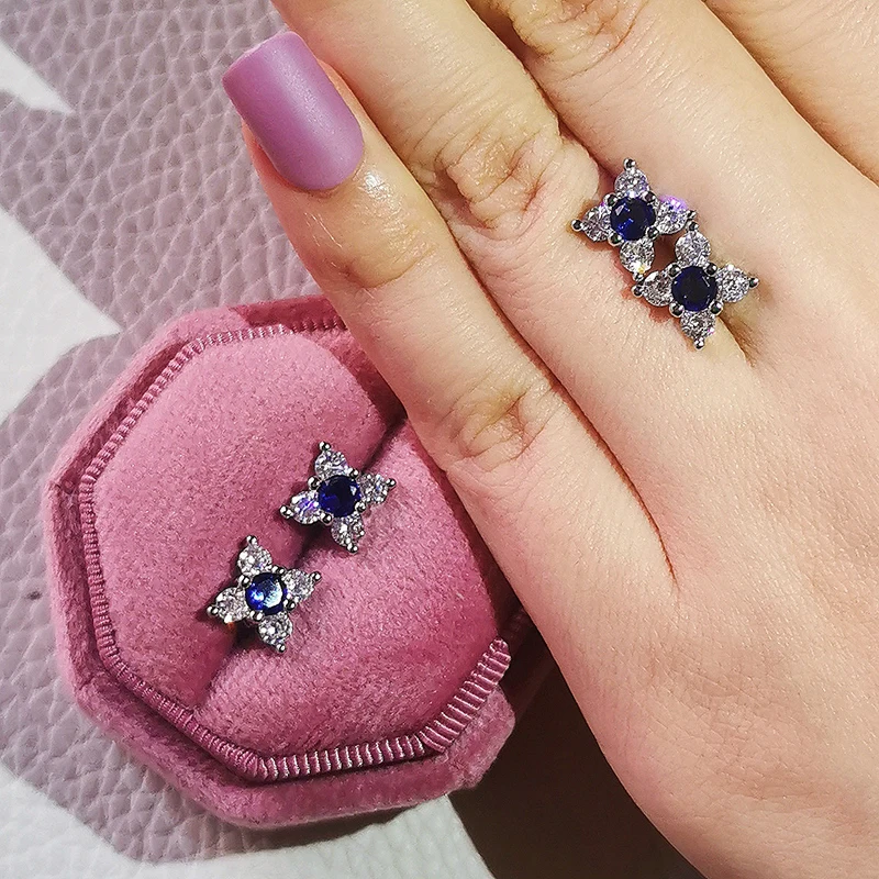 Luxury 925 Sterling Silver Earrings for Women